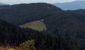 Trail On foot Feldberg - Feldbergsteig - Photo 9