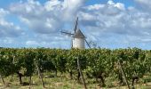 Tocht Stappen Rosnay - Les Vignes et la Vallée de l'Yon - N°15 - Photo 4