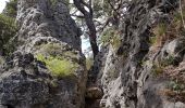 Randonnée Marche La Roquebrussanne - la montagne de la Loube - Photo 3