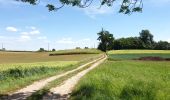 Randonnée Vélo électrique Renaix - Renaix - Ferme Dôrloû à Wodecq - Photo 13