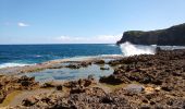 Trail Walking Le Moule - Porte d'Enfer - Anse Gros Morne - Photo 11