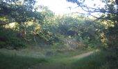 Trail On foot Wassenaar - Strandroute - Photo 4