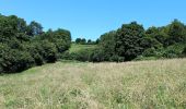 Tour Wandern Olne - Du plateau à la vallée. Olne - Photo 17