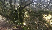 Trail Walking Faugères - La Caumette-  Pic du Tantajo - Photo 11