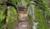 Percorso Marcia Niederhaslach - Niederhaslach - châteaux Ringelstein - Rochers du Pfaffenlapp et du Breitberg - Photo 5