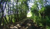 Randonnée V.T.T. Assesse - VTT sur Assesse (Courriére). - Photo 3