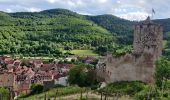 Excursión Senderismo Kaysersberg-Vignoble - 2022-05-29 Marche Kaysersberg Ursprung Bilstein - Photo 3