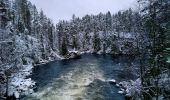 Tocht Te voet Kuusamo - Pieni Karhunkierros - Photo 5