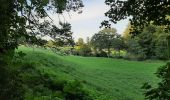 Tocht Noords wandelen Namen - wierde champêtre  - Photo 1