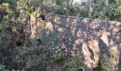 Percorso Marcia Roquebrune-sur-Argens - Circuit de l'eau Les Cavalières, La Maurette - Photo 3