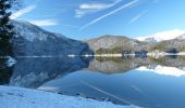 Tocht Te voet Grainau - Eibsee Rundwanderweg - Photo 3