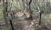 Trail Walking Unknown - Autour du Peak Mangsan  - Photo 3