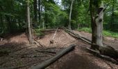 Tour Zu Fuß Hünxe - Gartrop Rundweg A6 - Photo 10