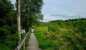 Tocht Stappen Gedinne - Balade dans les Fanges de l'Abîme - Gedinne - Photo 19