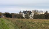 Tour Wandern Esvres - Esvres-sur-Indre - Veneuil Rouillers Hardellière - 24.5km 245m 5h20 (50mn) - 2024 11 23 - Photo 3