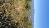 Trail Horseback riding Buoux - Provence 2025 J2 - Photo 11