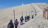 Tour Wandern Bédoin - Mont ventoux  - Photo 6