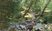 Trail Walking Stosswihr - Sentier des roches, hohneck, schiessrothried - Photo 10