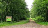 Trail On foot Tracy-le-Mont - le GR655 dans les Forêts de Laigue et de Compiègne - Photo 11
