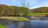 Trail Walking Durbuy - barvaux . bohon . durbuy . barvaux  - Photo 4