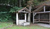 Tour Zu Fuß Burgkunstadt - Panoramaweg - Photo 2