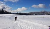 Trail Cross-country skiing Gex - Sonnaillyais - Photo 3