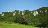 Trail On foot Gomadingen - Premiumweg Eichfelsen-Panorama - Photo 10