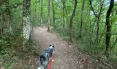 Trail Walking Claix - Colline de Comboire - Photo 13