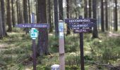 Trail Cycle Eupen - Ovelo - The High Fens in the eastern part of the Hertogenwald - Photo 5