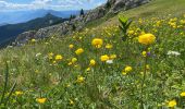 Tour Wandern Saint-Pierre-de-Chartreuse - Le charmant Som en Boucle - Photo 5