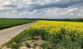 Tocht Stappen Ferrières - FERRIERES - Photo 1