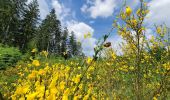 Tour Wandern Feitweiler - rando fauvillers 26 /06/2021 - Photo 3