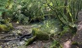 Excursión Senderismo Buoux - PF-Buoux - L'Aigue Brun au départ des Seguins - la Baume de l'Eau - 05.06.2025 - Photo 12