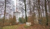 Trail On foot Belgern-Schildau - Stadtwaldrunde - Photo 3