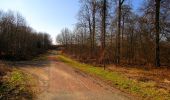 Tocht Stappen Retheuil - en forêt de Retz_76_dans les forêts de Retz et de Compiègne - Photo 11