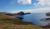Trail Walking Caniçal - Madère : la presqu'île de Sao Lourenço - Photo 1
