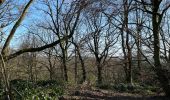 Tocht Stappen Trooz - Forêt Magnée par Meiser - Photo 1