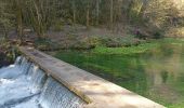 Trail Walking Nant - boucle des canalettes - Photo 19