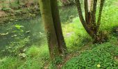 Trail Walking Bassenge - au départ du fort de Eden -Emael - Photo 1
