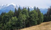 Trail Walking Sallanches - 230810 - Photo 1