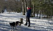 Trail Walking Stosswihr - Les 3 Fours - col de la Schlucht - Photo 8