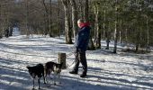 Randonnée Marche Stosswihr - Les 3 Fours - col de la Schlucht - Photo 8