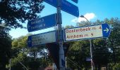 Tour Zu Fuß Renkum - Dwars door Gelderland (10) - Photo 9