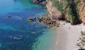 Trail Walking Crozon - FINISTÈRE-  CAP de la CHÈVRE  - Photo 12