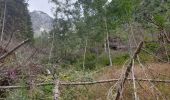 Excursión Senderismo Les Contamines-Montjoie - Très La Tête 10 08 2023 - Photo 4