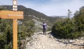 Trail Walking Saint-Vallier-de-Thiey - St Vallier de Thiey. Arche de Ponadieu,grotte des 2 goules. - Photo 9