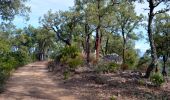 Trail Walking Les Mayons - Sur les hauteurs des Mayons - Photo 6