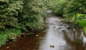 Randonnée A pied The Municipal District of Dungarvan — Lismore - Glenshelane Red Walk - Photo 9