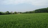 Percorso Mountainbike Caen - sortie dans les marais de vimont  - Photo 9