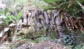 Tour Wandern Unknown - boucle aguada de chã de pedras - Photo 1